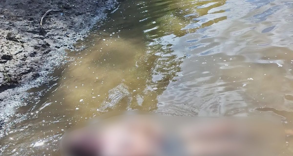 Спасатели нашли в Белой тело 22-летнего мужчины, пропавшего во время купания